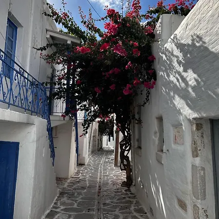 Charming Maison With Terrace, Parikia Center Semesterbostad